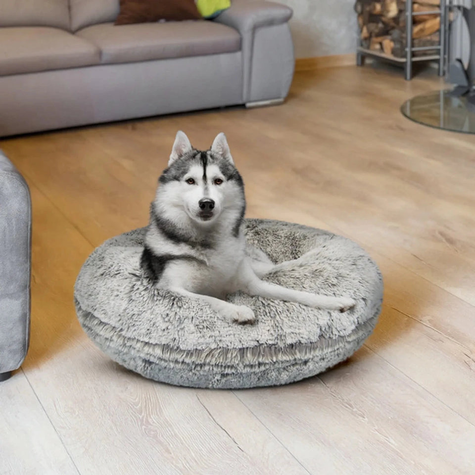 Bagel Bed Small - Blondie - Pets Perfect