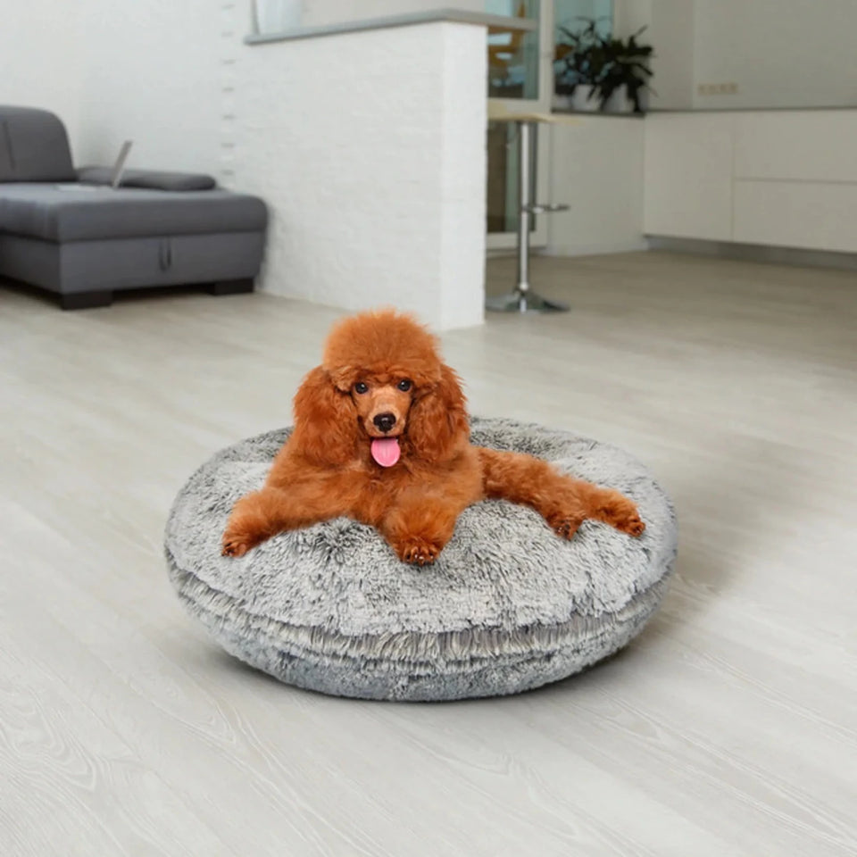 Bagel Bed Small - Blondie - Pets Perfect