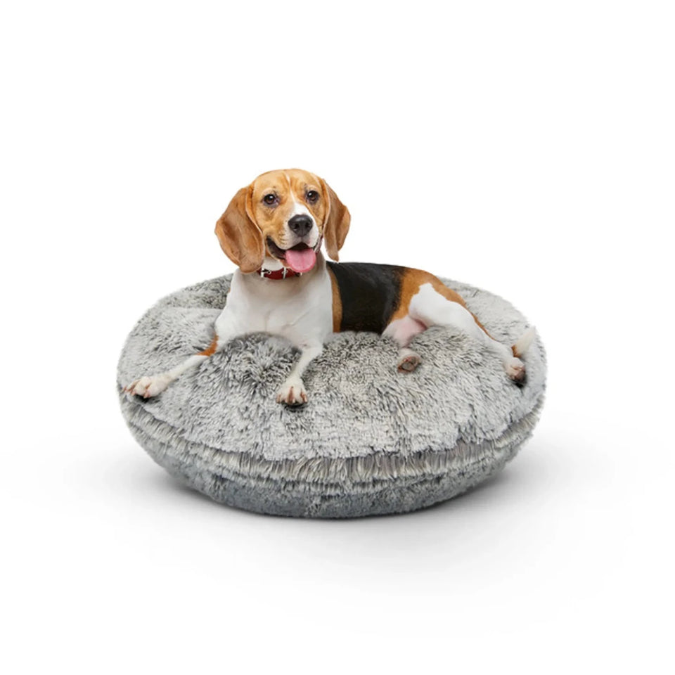Bagel Bed Small - Blondie - Pets Perfect
