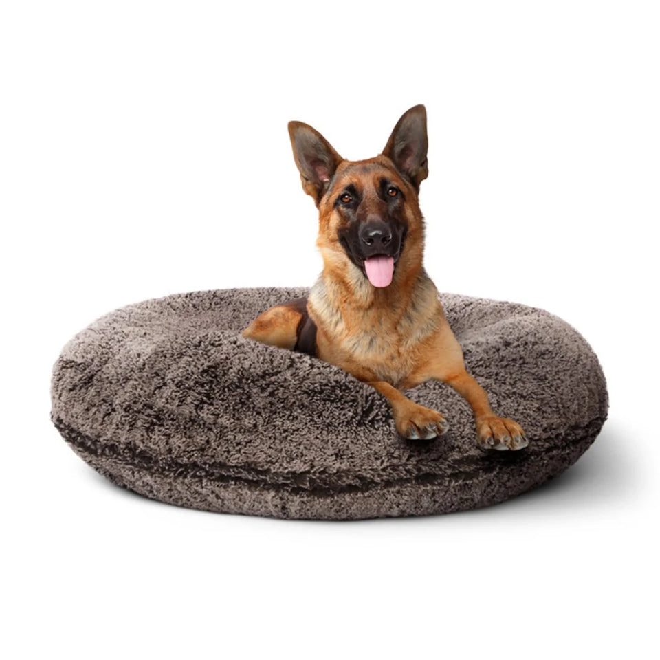 Bagel Bed Small - Blondie - Pets Perfect
