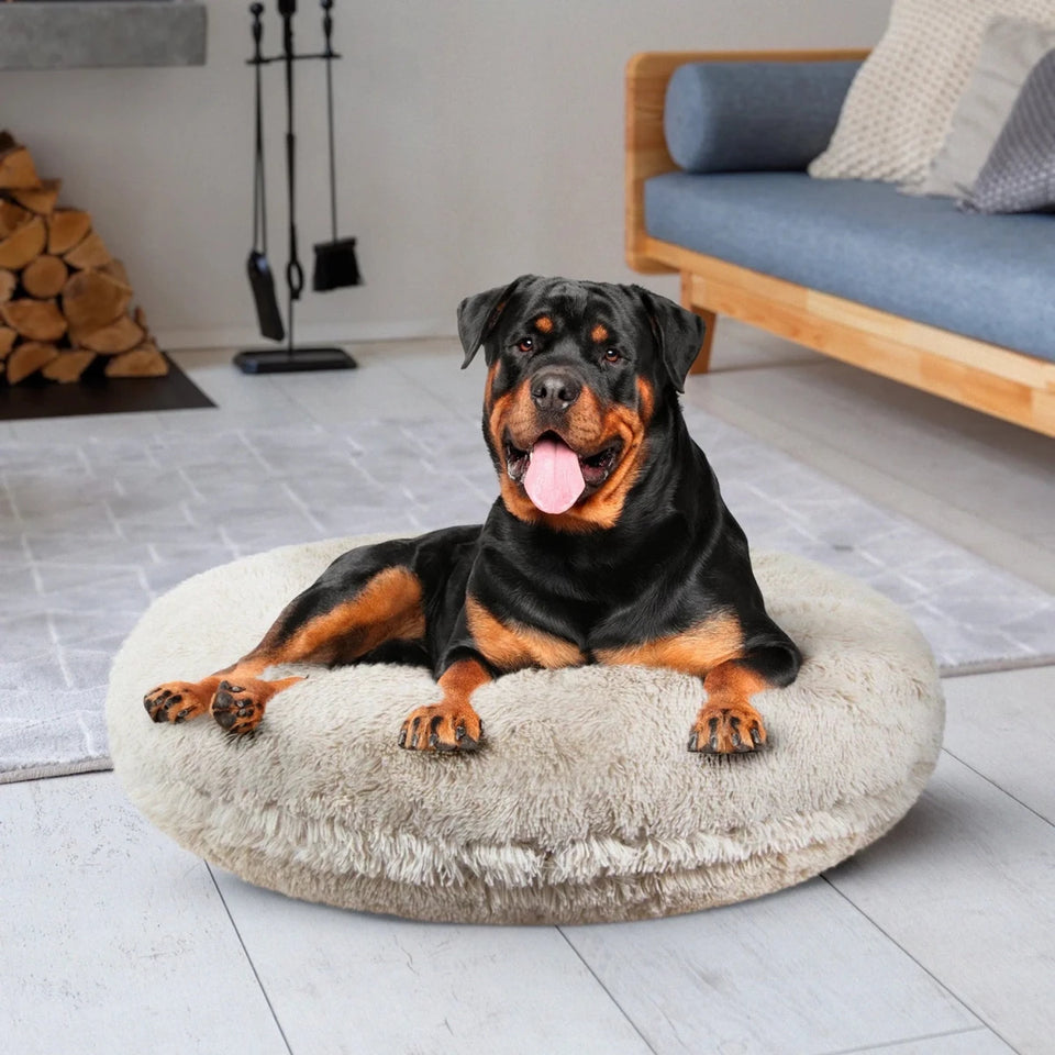 Bagel Bed Small - Blondie - Pets Perfect