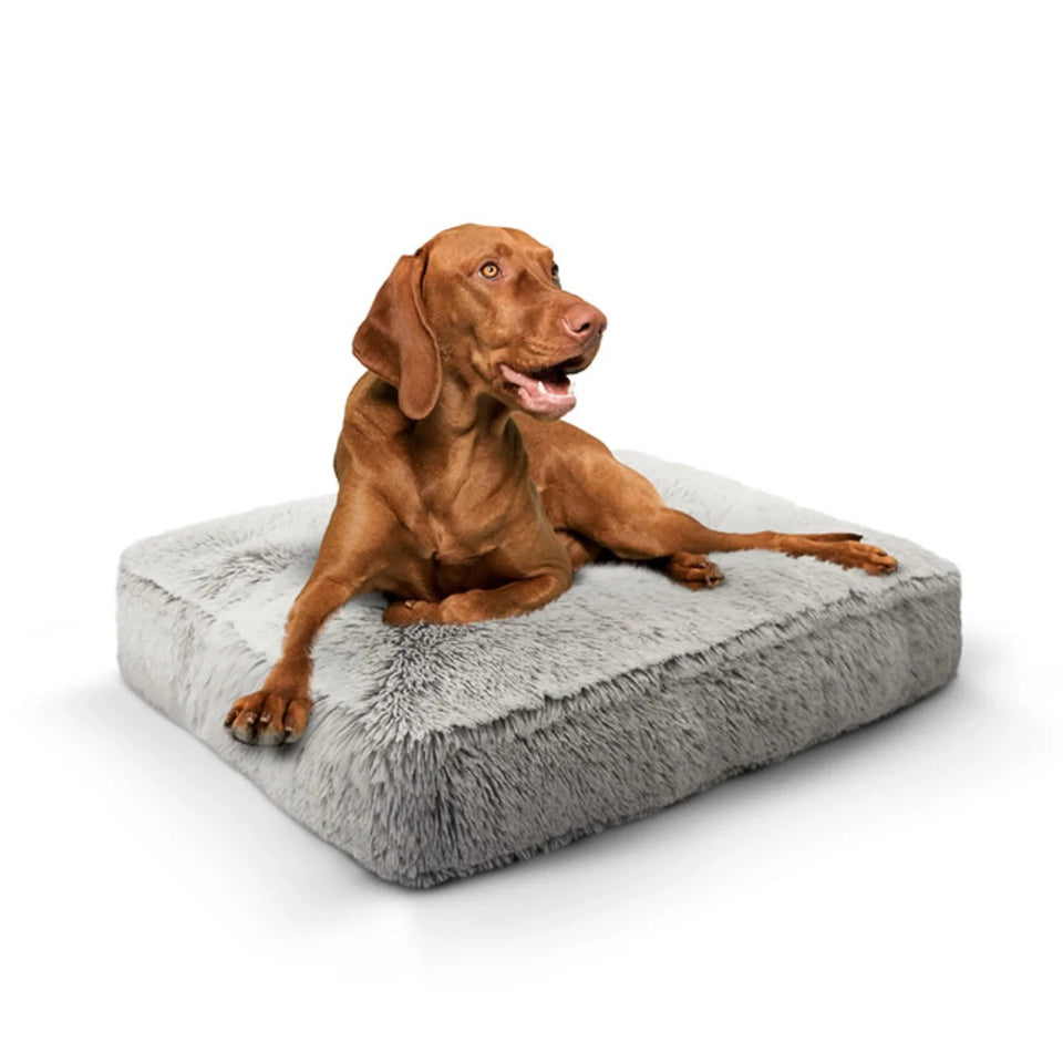 Rectangle Bed Small - Frosted Willow - Pets Perfect