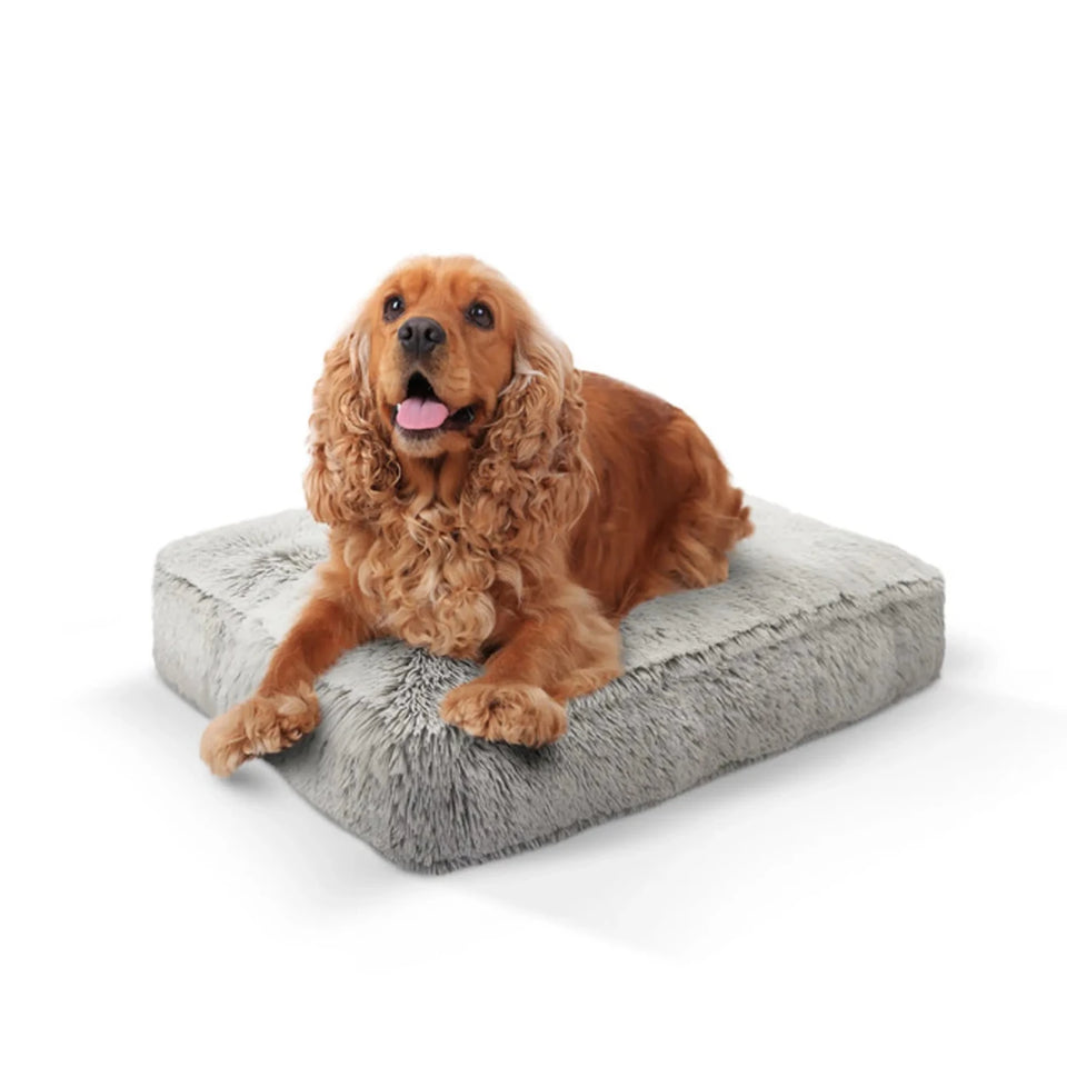 Rectangle Bed Small - Frosted Willow - Pets Perfect