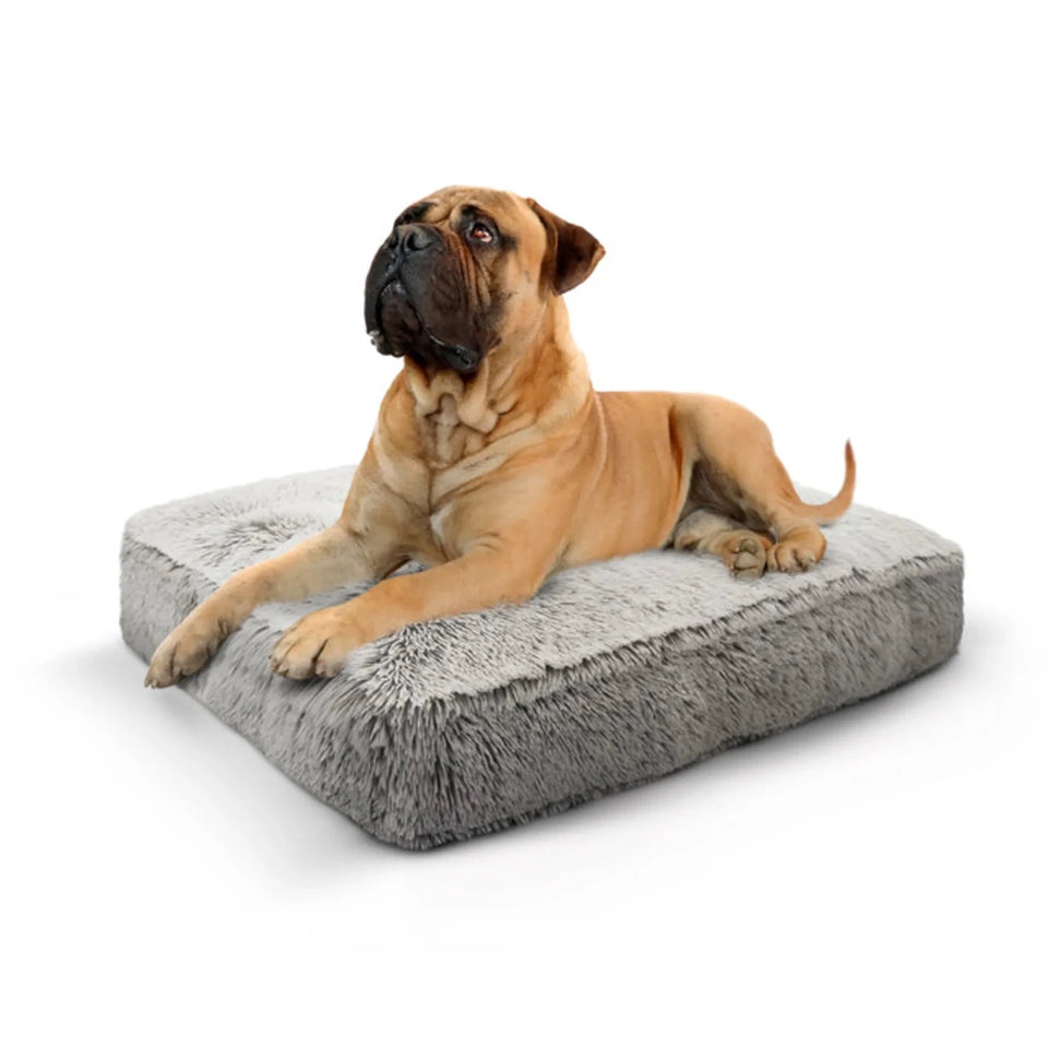 Rectangle Bed Small - Frosted Willow - Pets Perfect