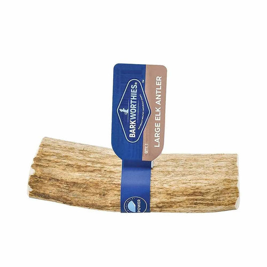 Elk Antler Dog Chew - Premium Whole Antler with Marrow - Natural Long-Lasting Chew for Dogs