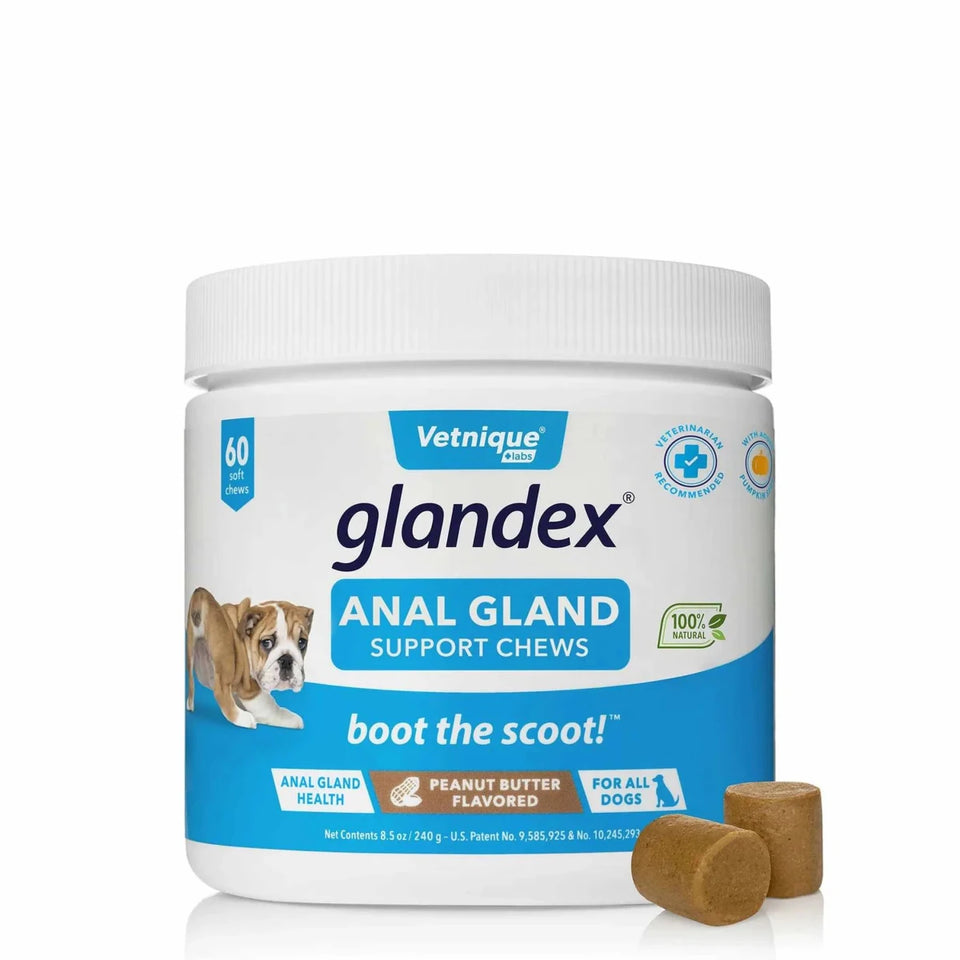 Glandex Anal Gland Soft Dog Chew Peanut Butter - Pets Perfect