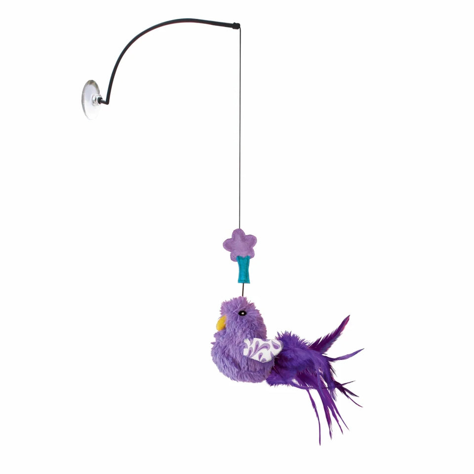 KONG Connects Window Teaser Assorted Cat Toy - Pets Perfect