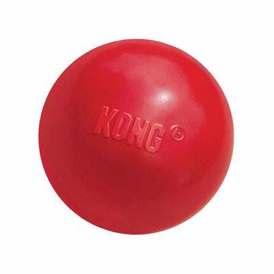 KONG Ball with Hole Dog Fetch Dog Toy - Pets Perfect