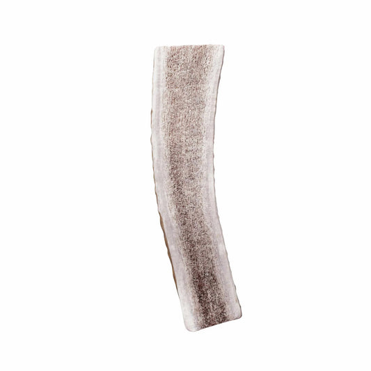 KONG(R) Wild Antler Split - Pets Perfect