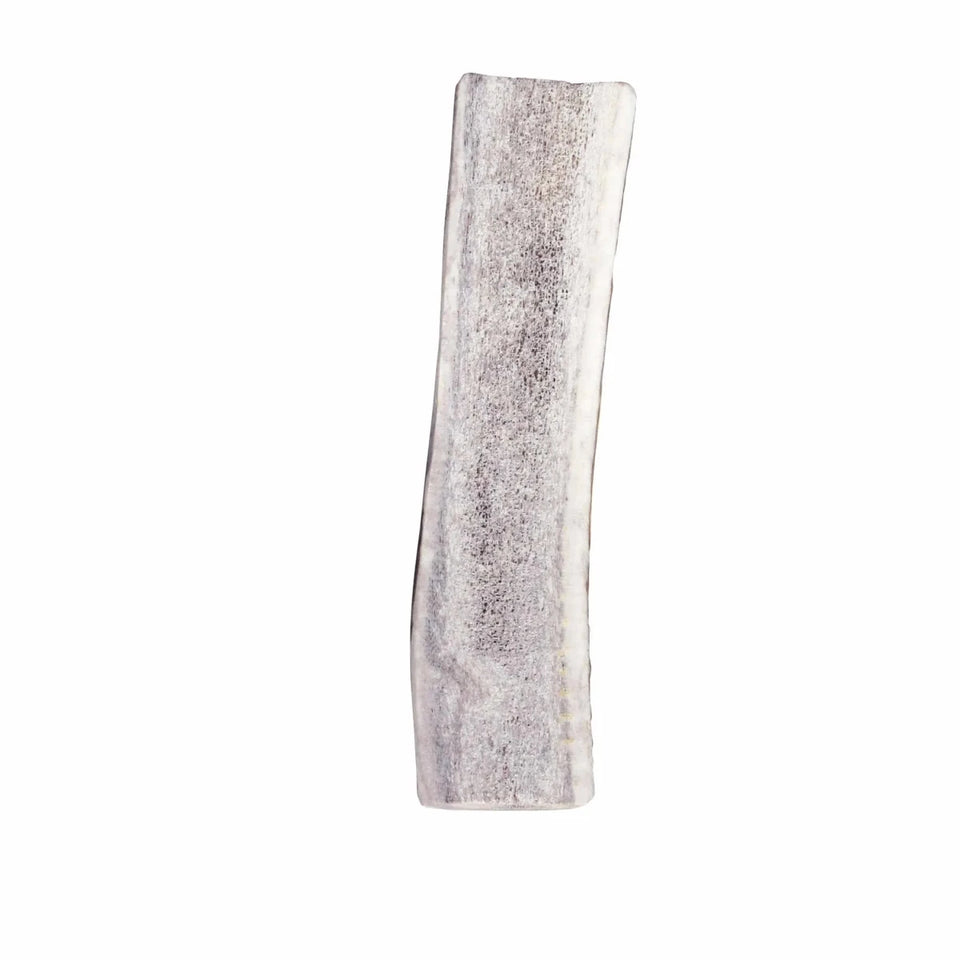 KONG Wild Antler Split - Pets Perfect