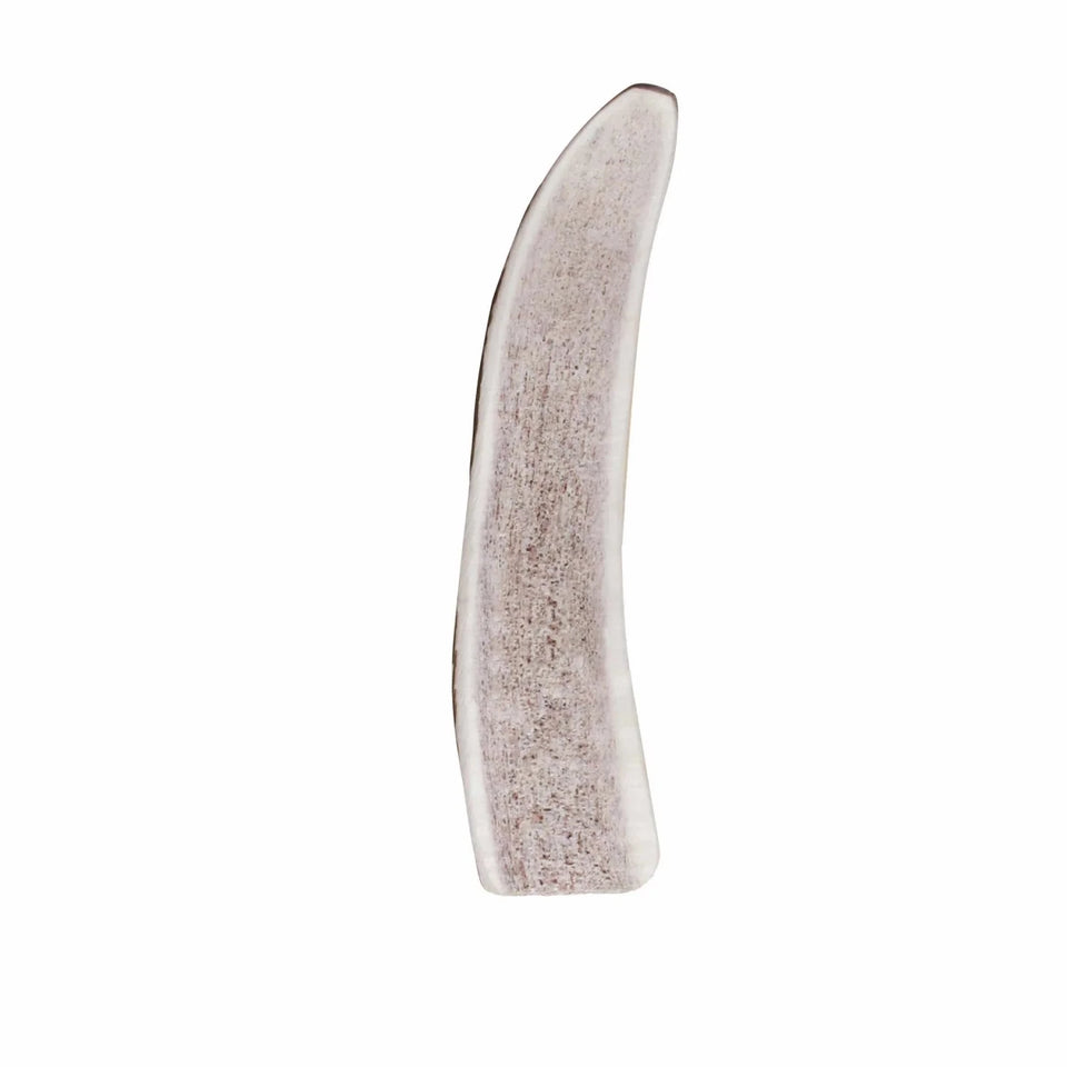 KONG Wild Antler Split - Pets Perfect