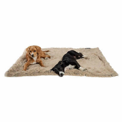 Wide view of tan and black dogs resting on a beige Best Friends by Sheri shag blanket