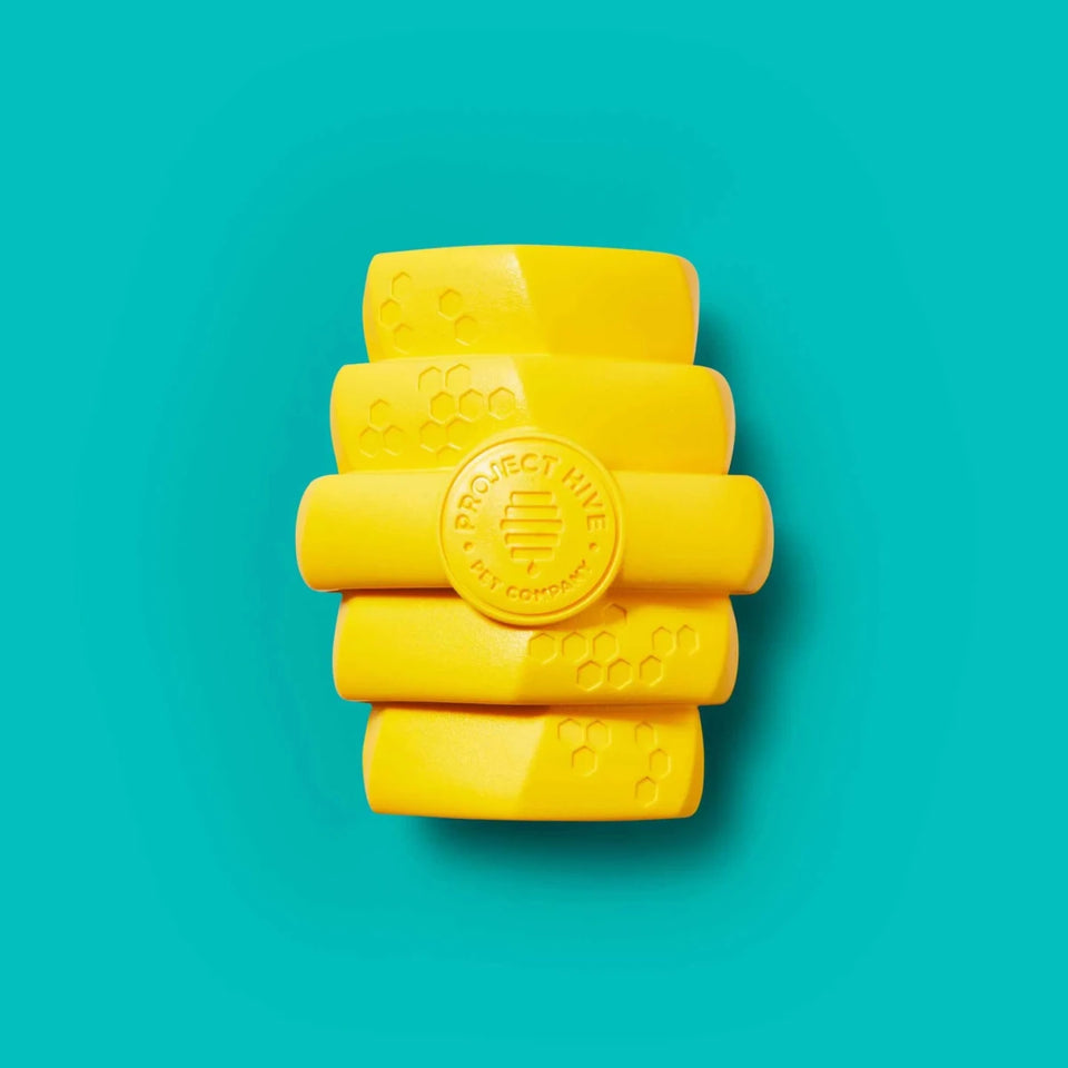 Project Hive Chew Dog Toy - Pets Perfect