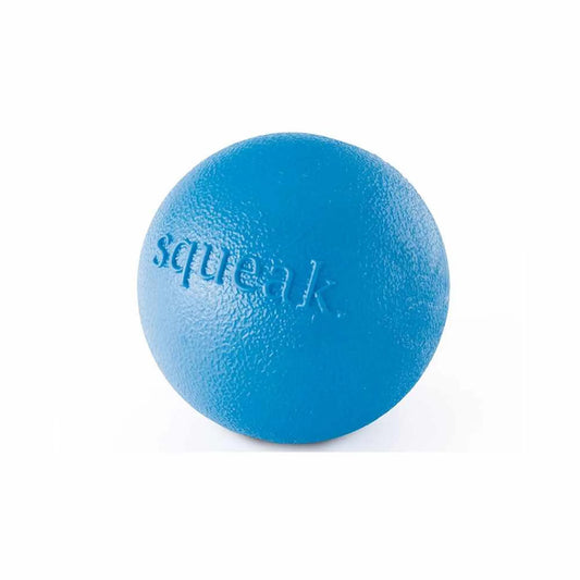 Planet Dog Orbee-Tuff Squeak Ball Dog Toy - Durable Bouncy Squeaker Ball for Fetch