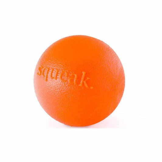 Planet Dog Orbee-Tuff Squeak Ball Dog Toy - Durable Bouncy Squeaker Ball for Fetch