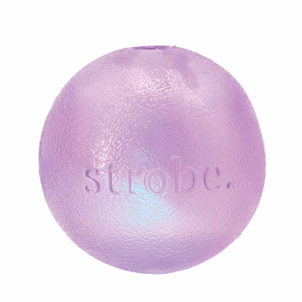 Planet Dog Orbee-Tuff Strobe Ball Light Up Dog Toy - Pets Perfect