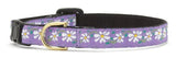Up Country Daisy Cat Collar - Pets Perfect