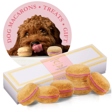 Dog Macarons - Box of 6 (Available in 12 Flavors)