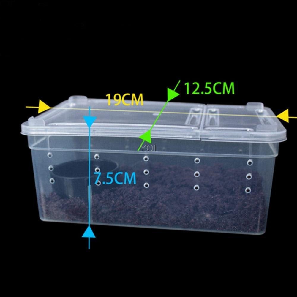 Transparent Reptile Haven: The Perfect Enclosure For Your Cold - Blooded Companions - Pets Perfect