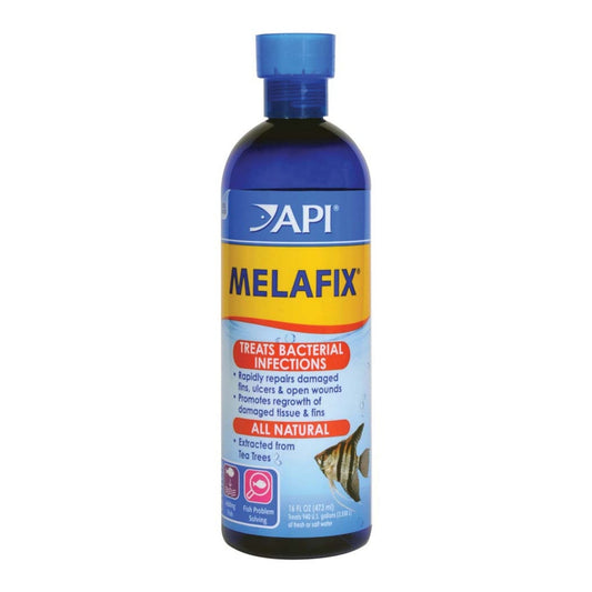 API Melafix Baterial Infection Remedy 1ea/16 fl oz.