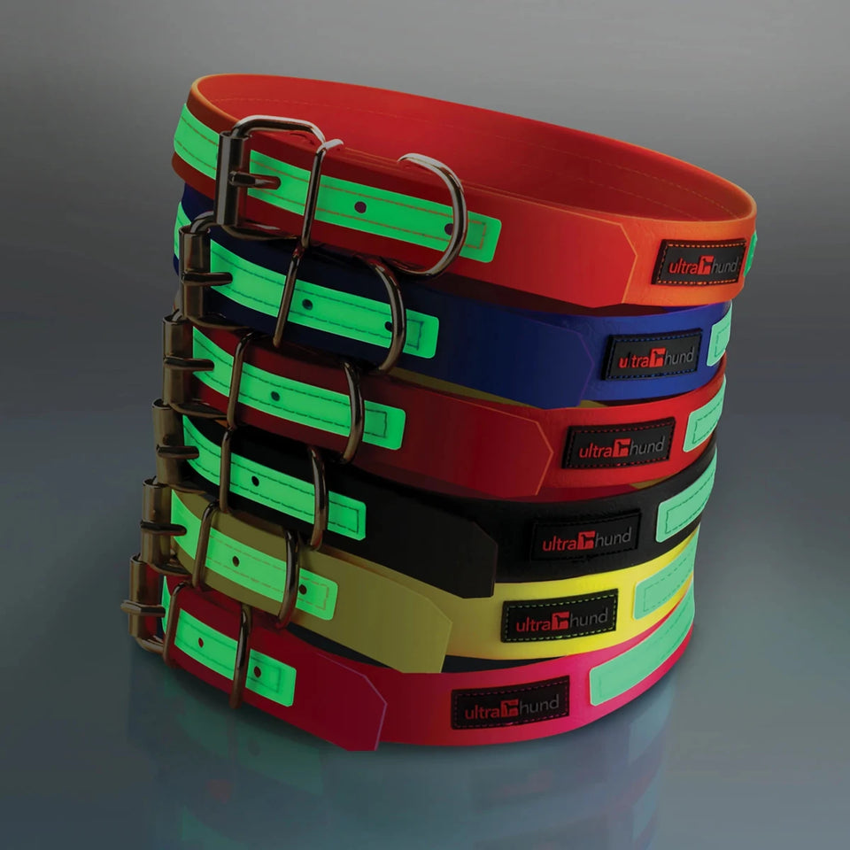 Play Glow Dog Collar - Pets Perfect