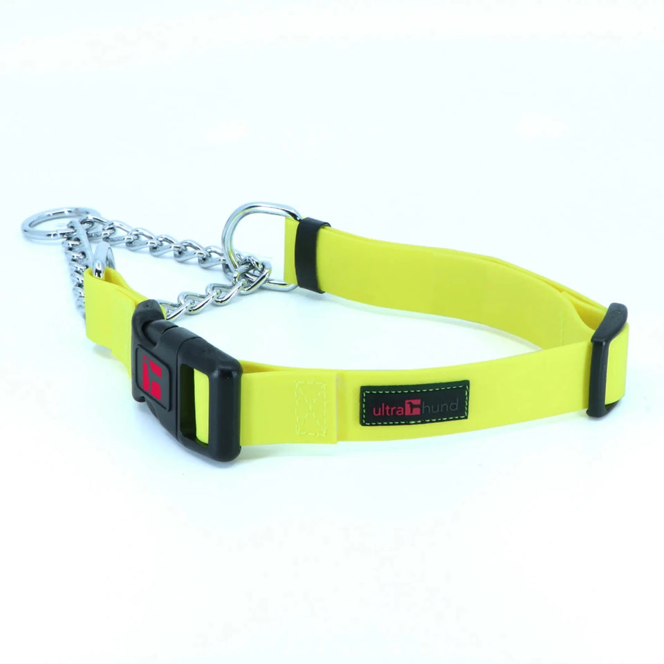 Play Martingale Dog Collar - Pets Perfect