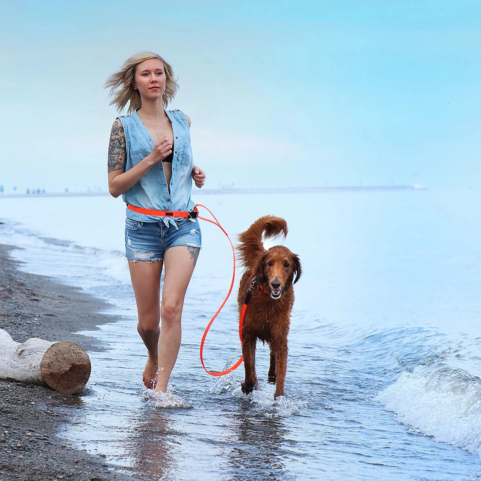 Boss Regular Dog Leash - Pets Perfect