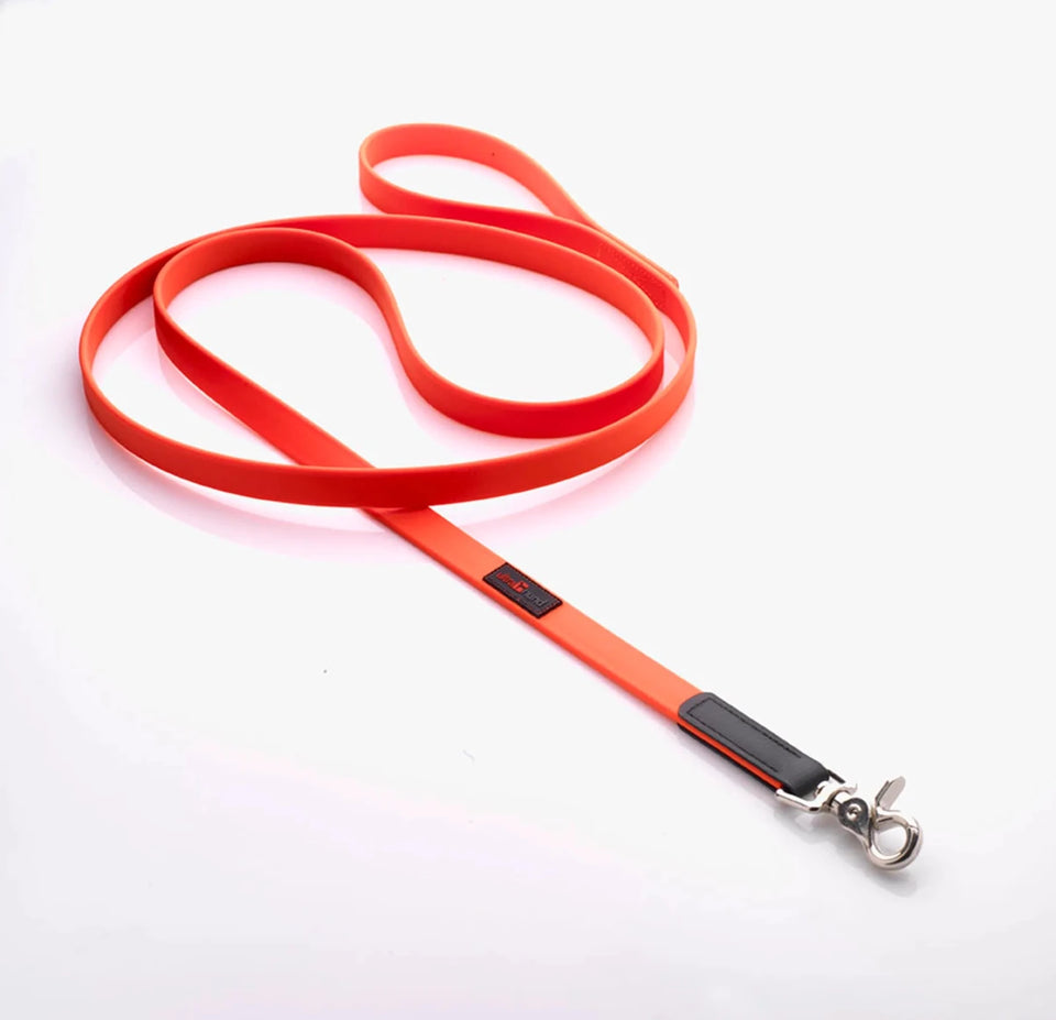 Boss Regular Dog Leash - Pets Perfect