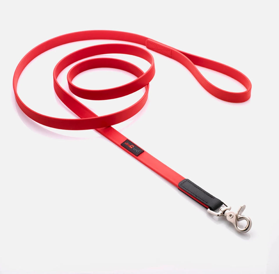 Boss Regular Dog Leash - Pets Perfect