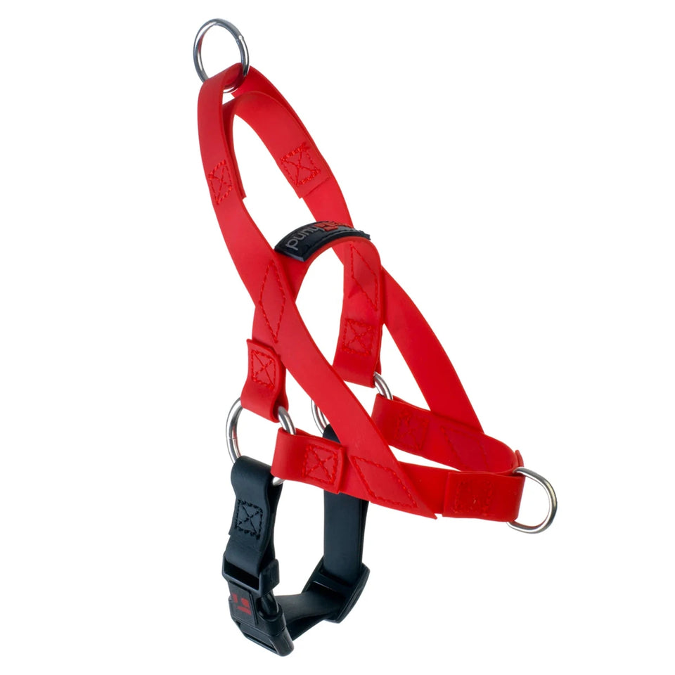 Freedom Dog Harness - Pets Perfect
