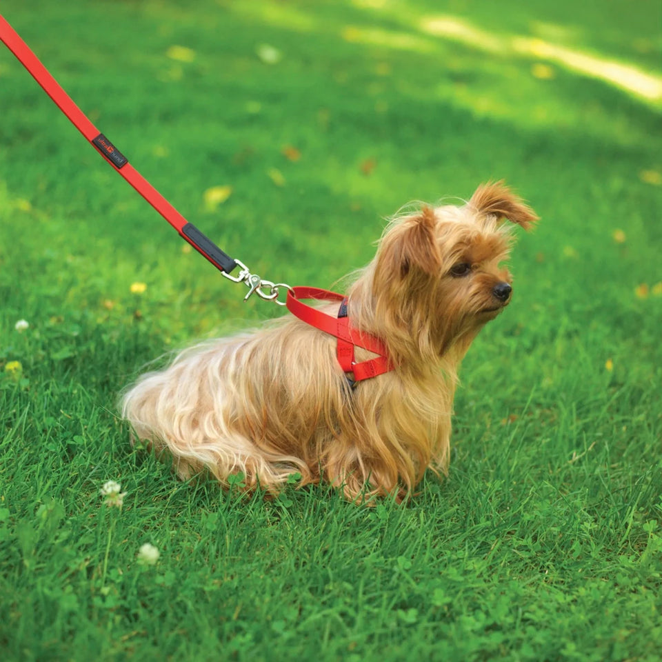 Freedom Dog Harness - Pets Perfect