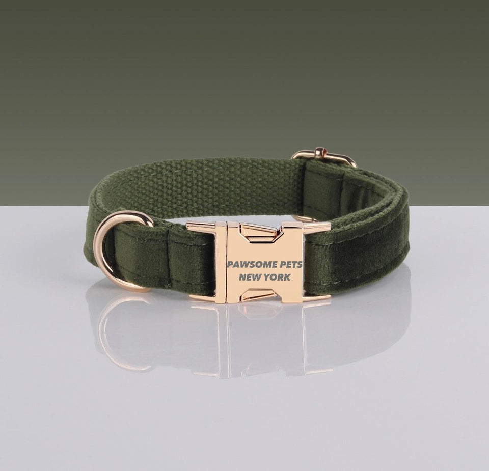 Pawsome Adj. Nylon Dog Collar - Quick-Release Buckle for Dogs & Cats, XS
