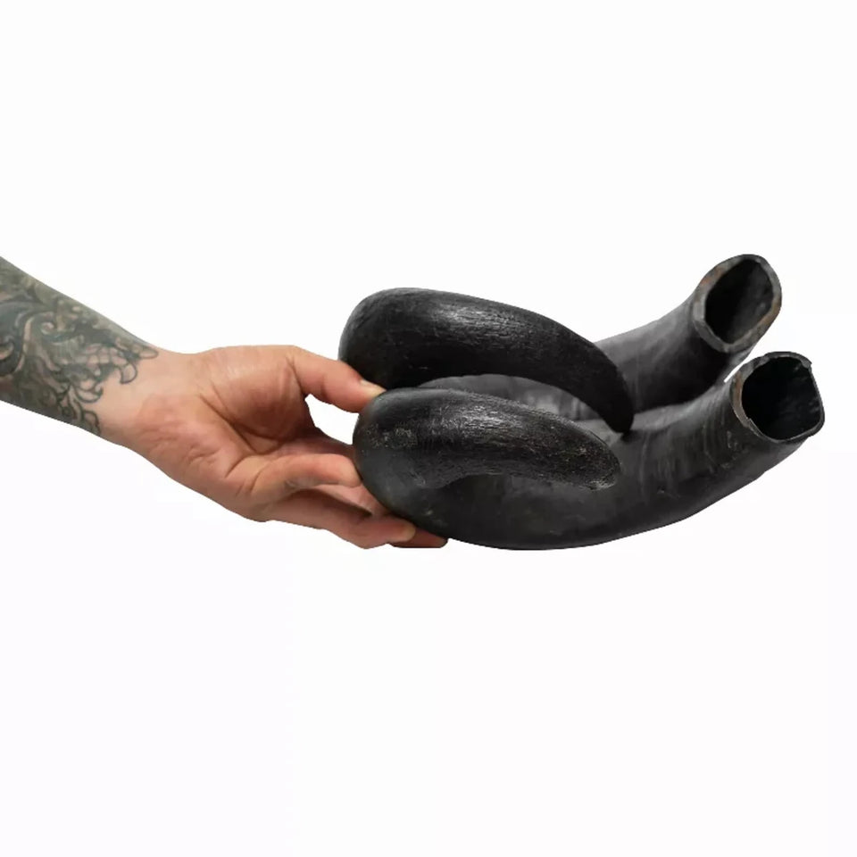 WATER BUFFALO HORN-100% Natural, Long-Lasting, Grain-Free, Gluten-Free, Dog Dental Dog Treats & Chews-2 ct-15 oz - Pets