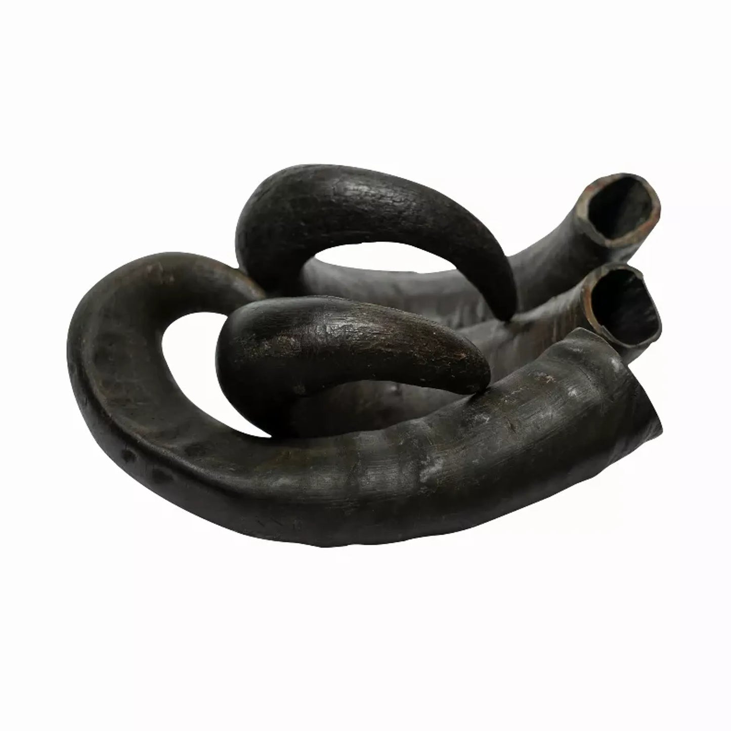 WATER BUFFALO HORN - 100% Natural, Long - Lasting, Grain - Free, Gluten - Free, Dog Dental Treats & Chews - 2 COUNT - 15 oz - Pets Perfect