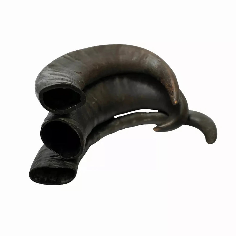 WATER BUFFALO HORN-100% Natural, Long-Lasting, Grain-Free, Gluten-Free, Dog Dental Dog Treats & Chews-2 ct-15 oz - Pets