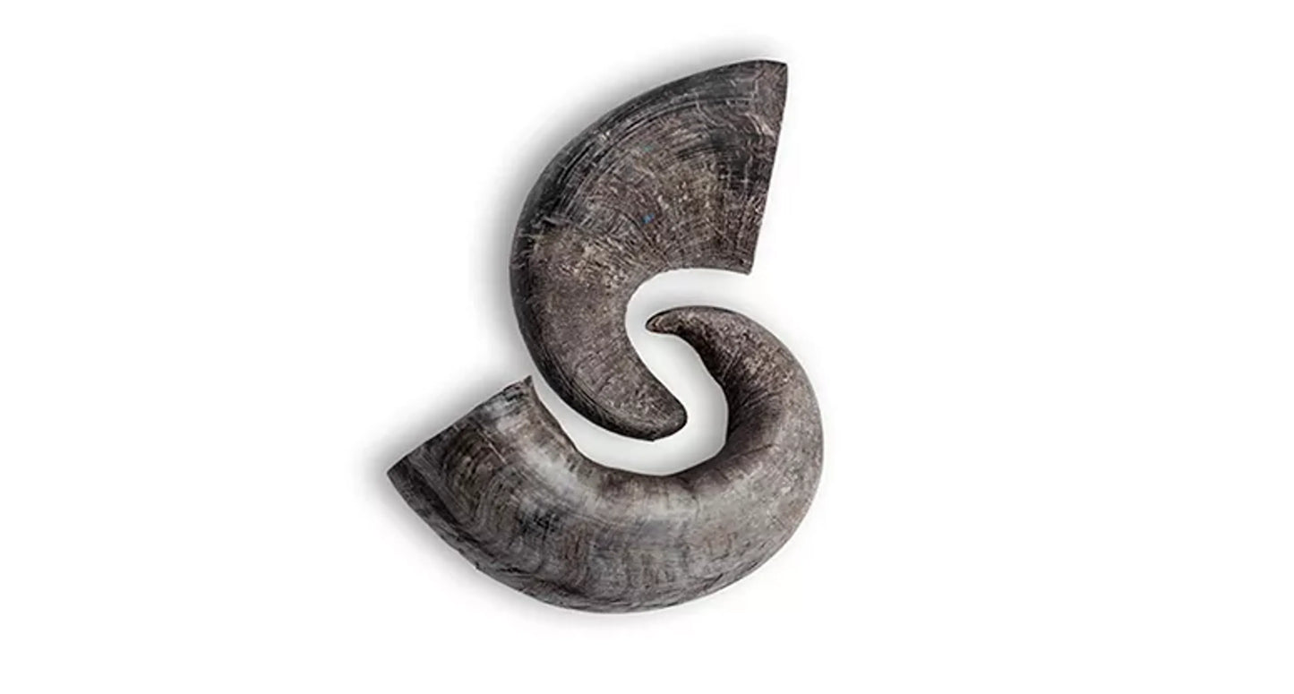 Rozie's Water Buffalo Horn - Natural Dental Chew for Power Chewers (2ct)