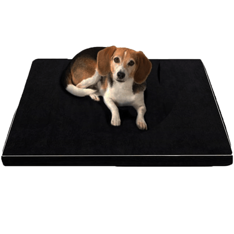 Luxorest: Premium Orthopedic Memory Foam Beds For Larger And Elderly Dogs
