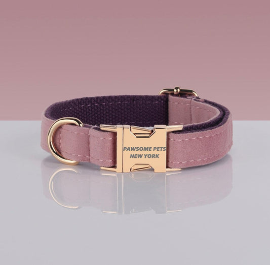 Pawsome Pets Adjustable Nylon Dog Collar #13 - Quick-Release Buckle for Secure Fit