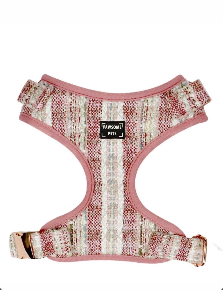 Adjustable Dog Harness, French Vermilion, view 2