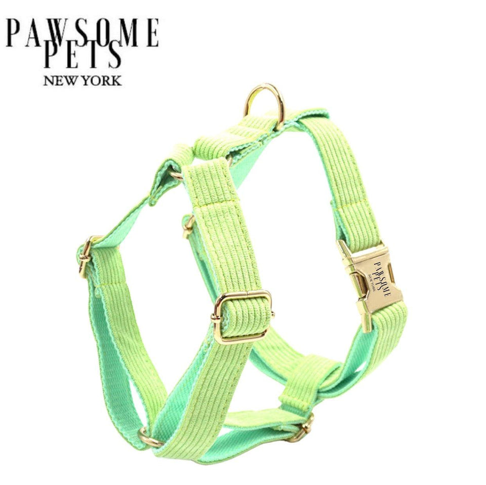 Step-in Dog Harness, Light Green
