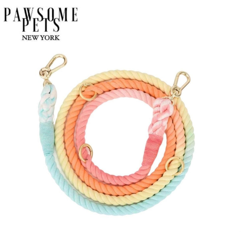 Hands-Free Dog Rope Dog Leash - Classic Rainbow