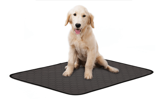 Pet Comfort Care Absorbent Diaper Mat