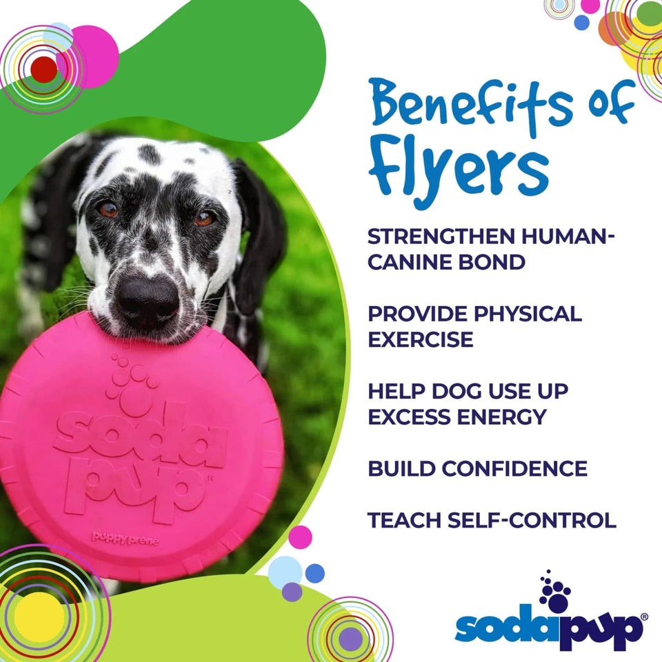 SP Puppy Bottle Top Flyer Durable Rubber Retrieving Frisbee for Puppies - Pets Perfect