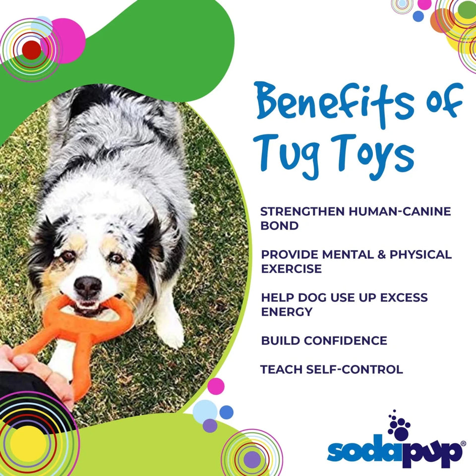 SP Pop Top Rubber Tug Dog Toy for Interactive Play - Pets Perfect