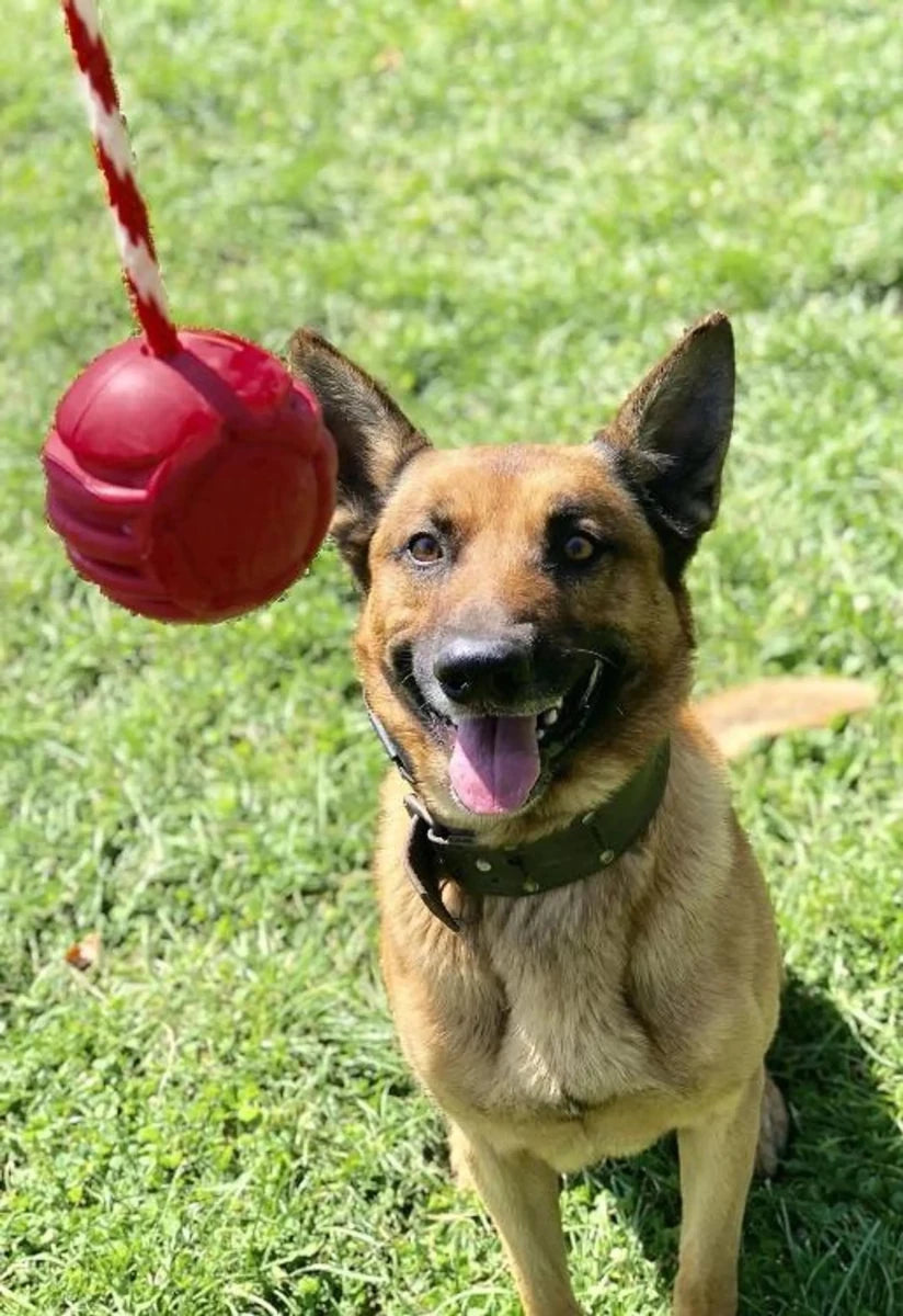 USA-K9 Stars and Stripes Ultra-Durable Rubber Dog Chew Ball - Pets Perfect