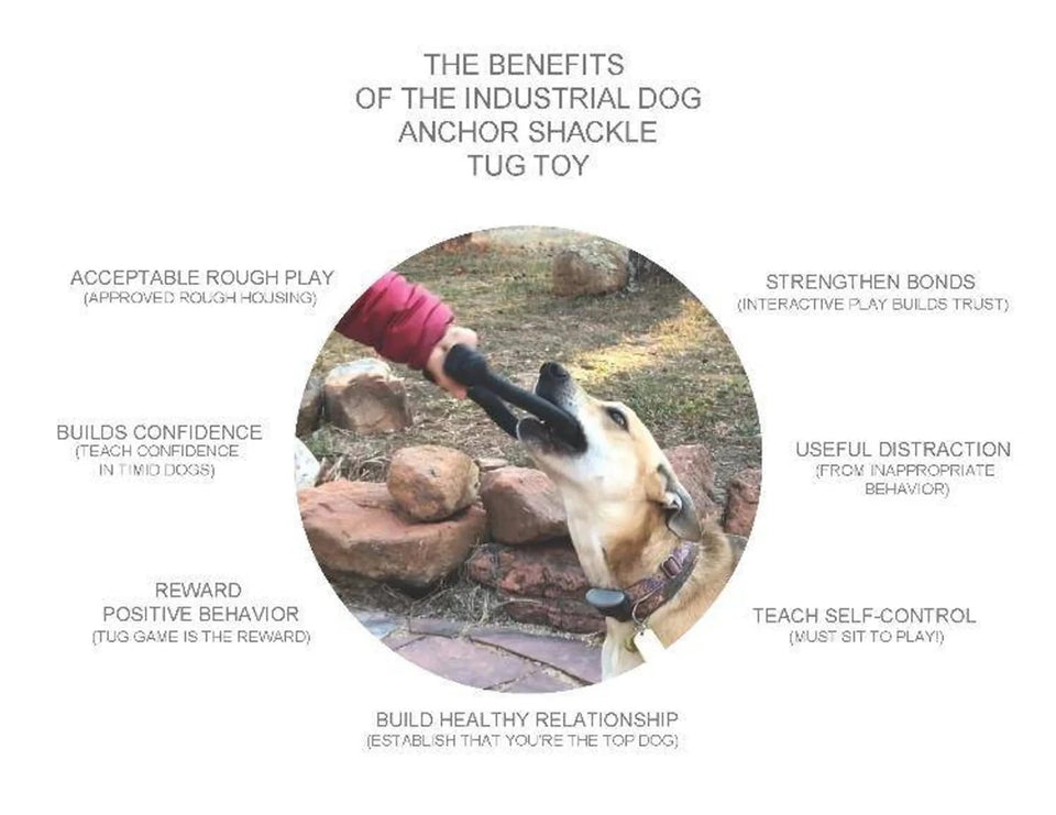 ID Anchor Shackle Durable Rubber Tug Dog Toy - Pets Perfect