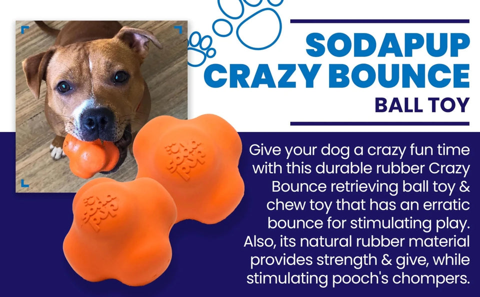 SP Crazy Bounce Ultra Durable Rubber Chew & Retrieving Dog Toy, view 8