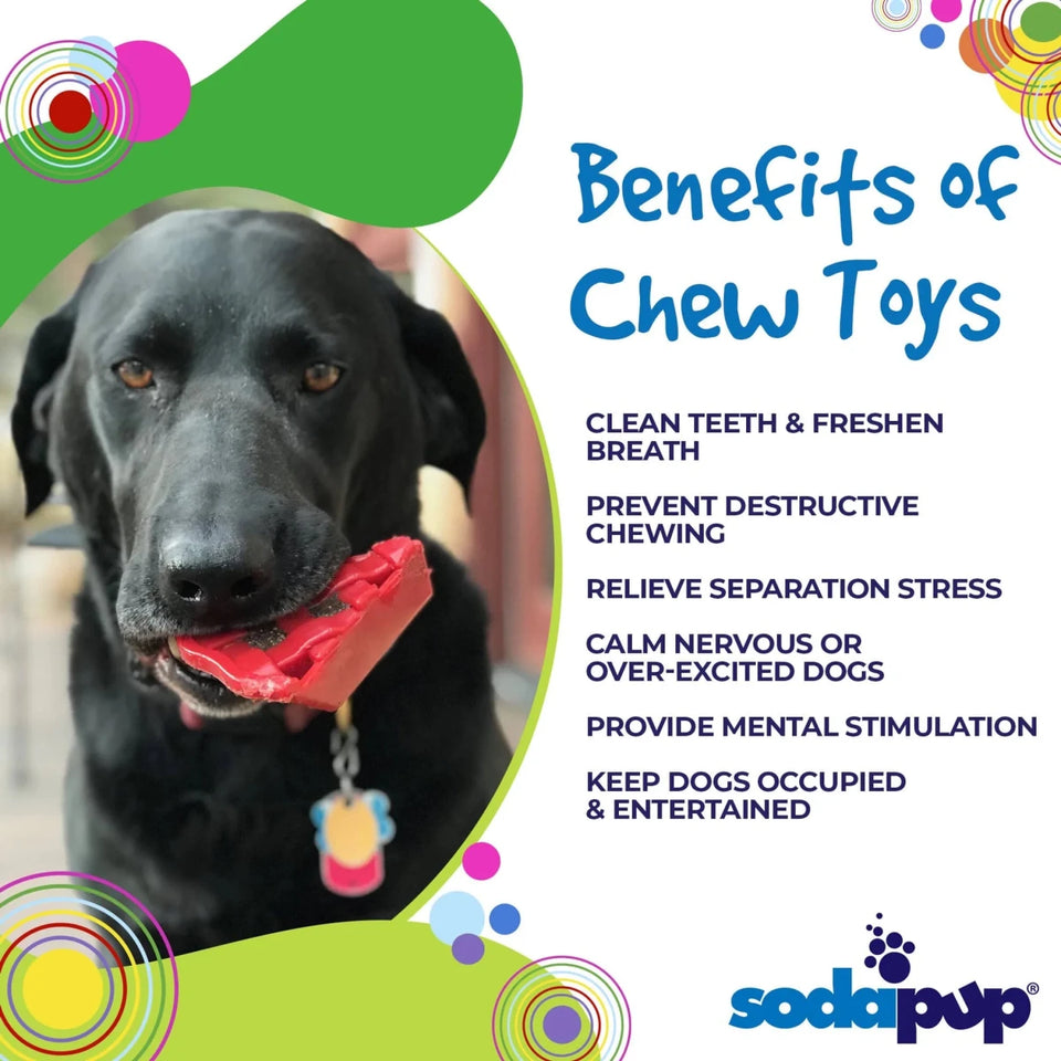 SP Cherry Pie Ultra Durable Nylon Dog Chew Toy and Treat Holder for Aggressive Chewers - Pets Perfect
