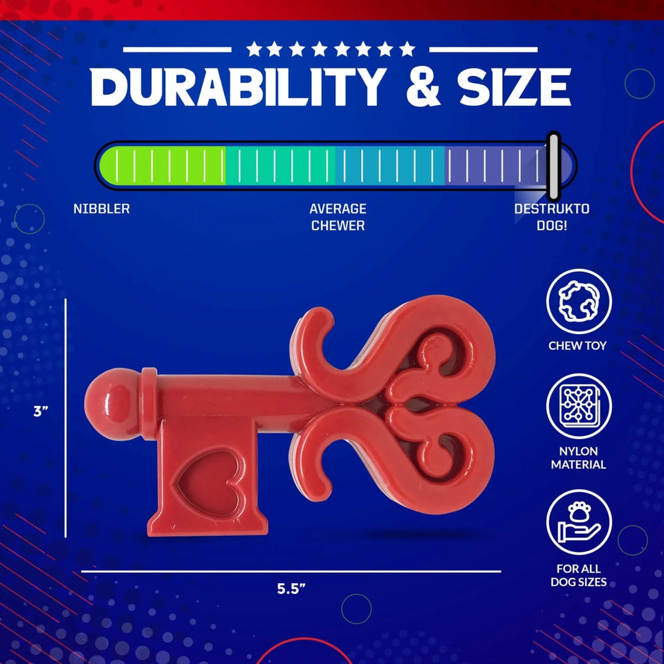 MKB Key to My Heart Ultra Durable Nylon Dog Chew Toy for Aggressive Chewers - Pets Perfect