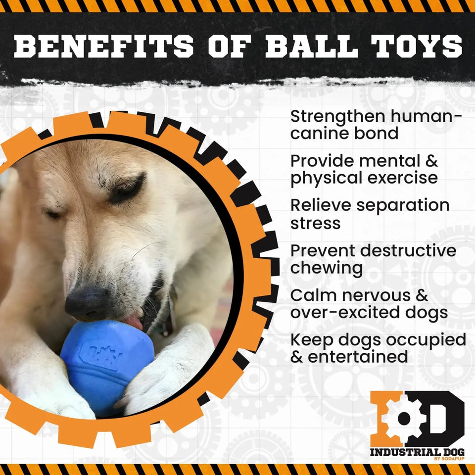 ID Cap Nut Ultra-Durable Rubber Chew Dog Toy and Treat Dispenser - Pets Perfect